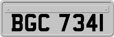 BGC7341