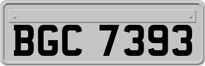 BGC7393