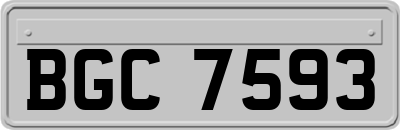 BGC7593