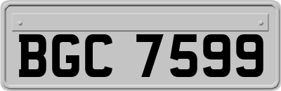 BGC7599