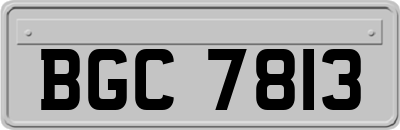 BGC7813