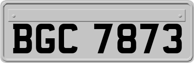 BGC7873