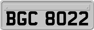 BGC8022