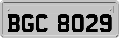 BGC8029