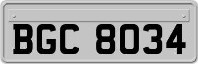 BGC8034