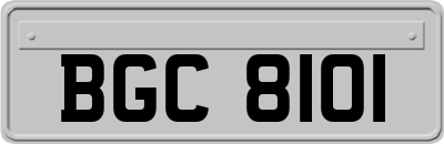 BGC8101