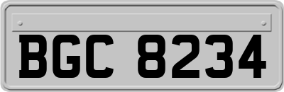 BGC8234