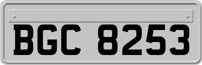 BGC8253