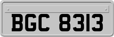 BGC8313