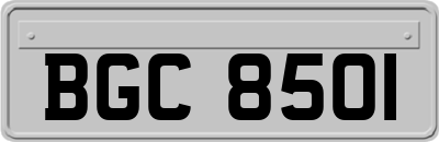 BGC8501