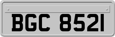 BGC8521