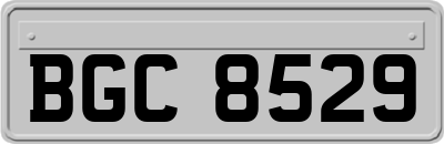 BGC8529