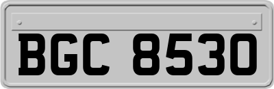 BGC8530