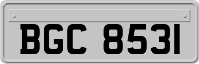 BGC8531