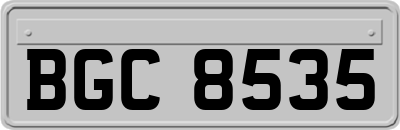 BGC8535