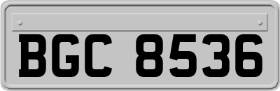 BGC8536