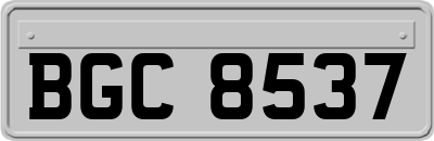 BGC8537
