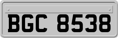 BGC8538