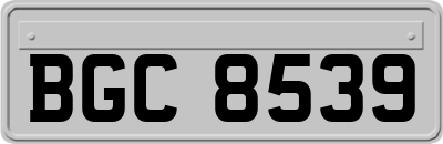 BGC8539