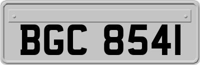 BGC8541
