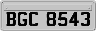 BGC8543