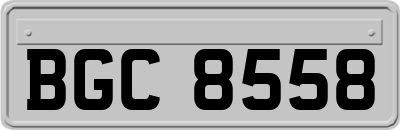 BGC8558