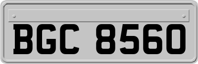BGC8560