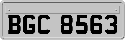 BGC8563