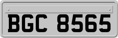 BGC8565