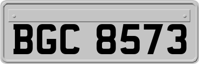 BGC8573