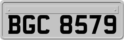 BGC8579