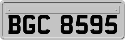 BGC8595