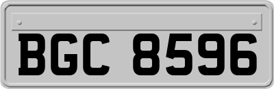 BGC8596
