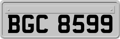 BGC8599