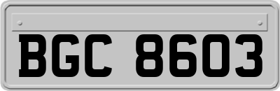 BGC8603