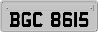 BGC8615