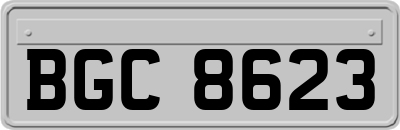BGC8623