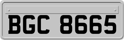 BGC8665