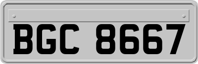 BGC8667