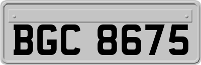 BGC8675