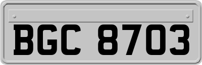 BGC8703