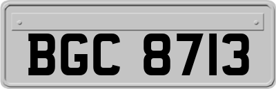 BGC8713