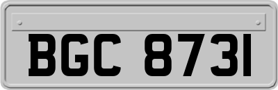 BGC8731