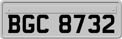BGC8732