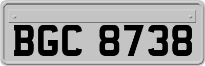 BGC8738