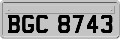 BGC8743