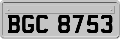 BGC8753