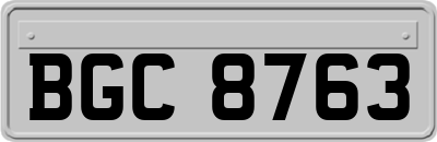 BGC8763