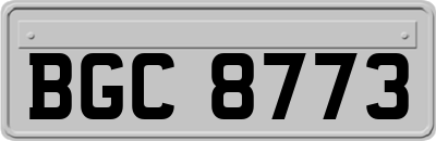 BGC8773