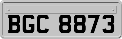 BGC8873